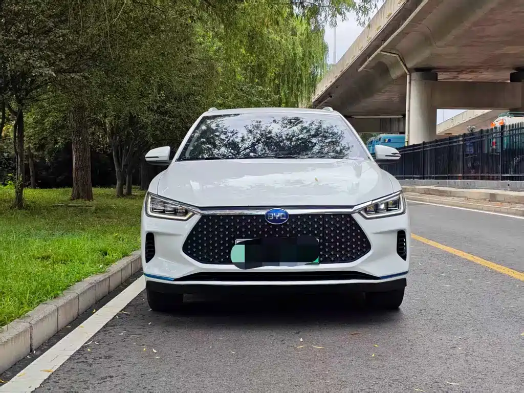 BYD e2 2019