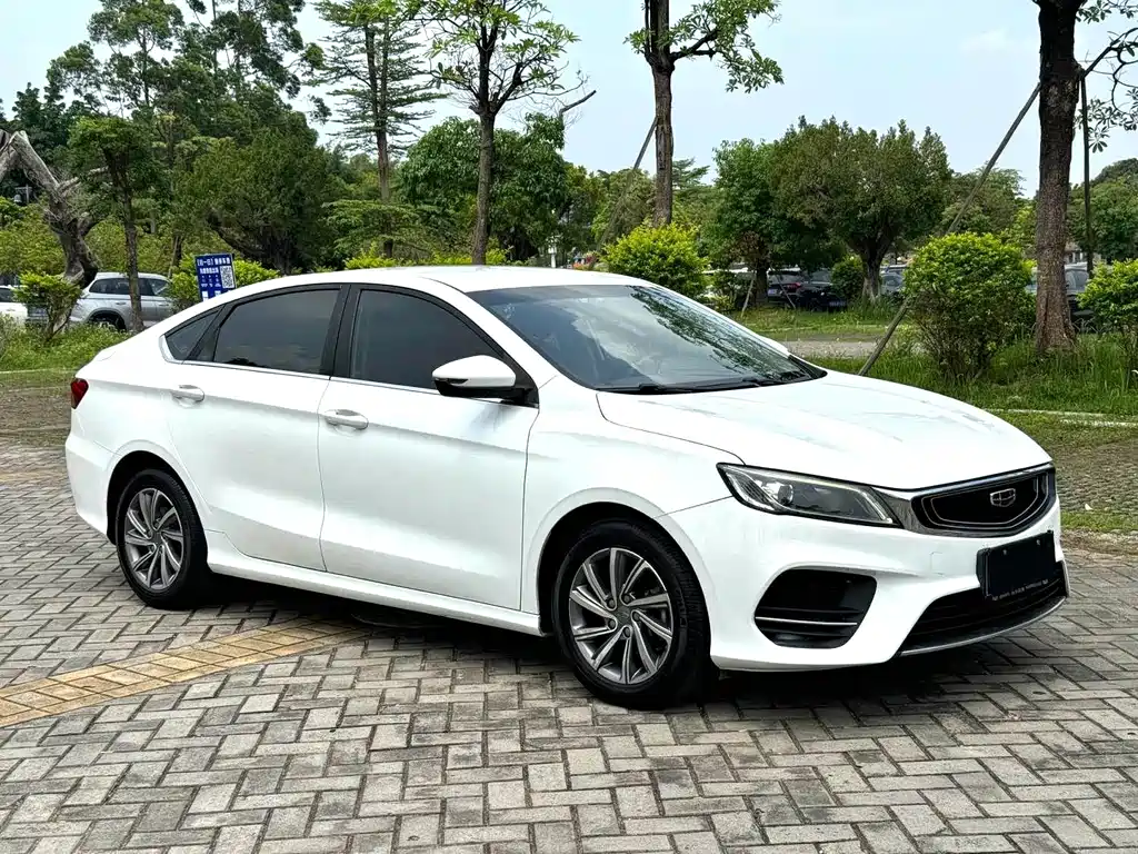 Geely Binrui 2020