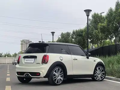 MINI MINI 2020