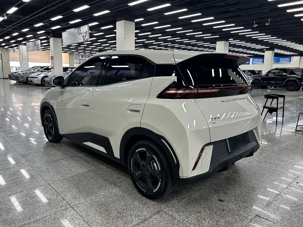 BYD Seagull 2023