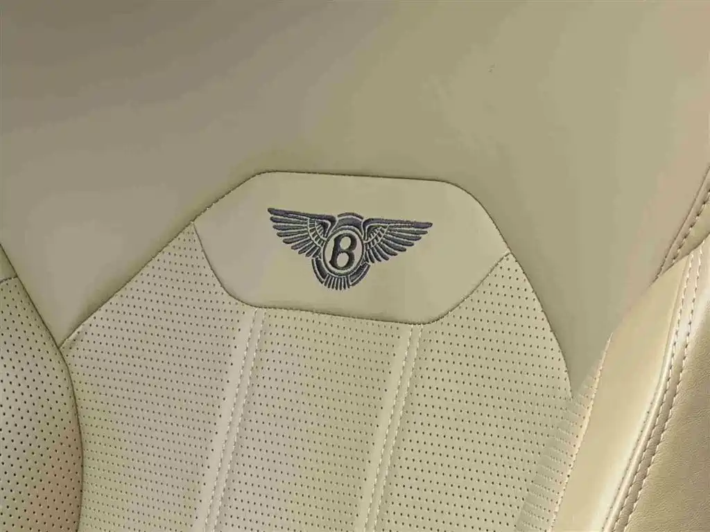 Bentley Bentayga Plug-In Hybrid 2021 — фото 18