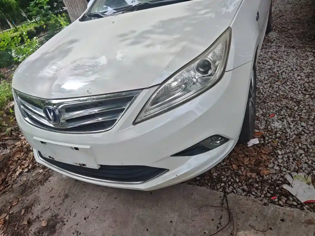 Changan Eado 2015 — фото 24