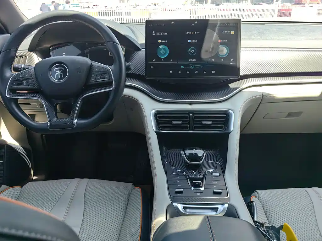 BYD PLUS New Energy 2022 — фото 10