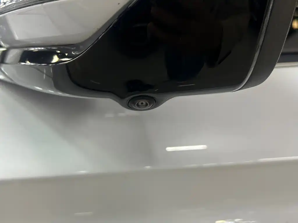 BYD Song PLUS New Energy 2024 — фото 12
