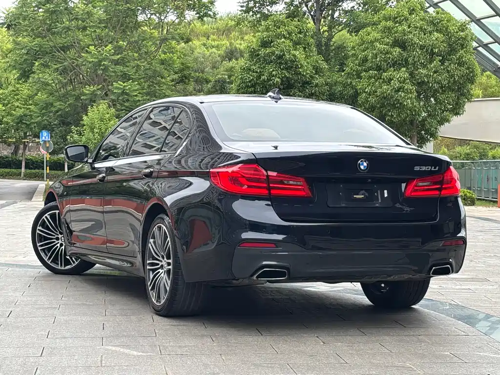 BMW 5 Series 2018 — фото 5