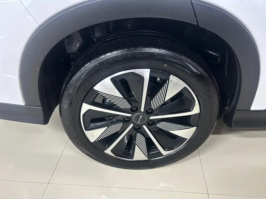 BYD Song PLUS New Energy 2024 — фото 21