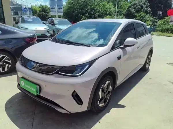 BYD Dolphin 2026