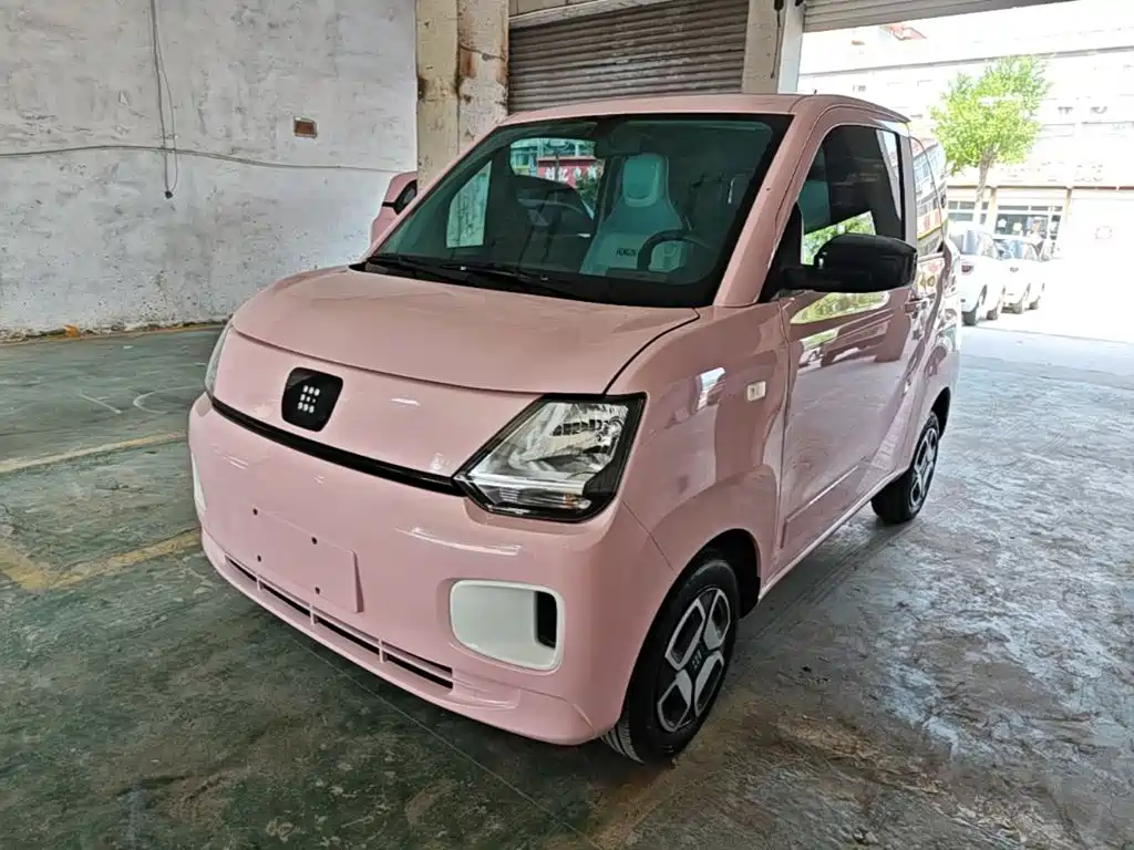 Fengguang MINIEV 2024