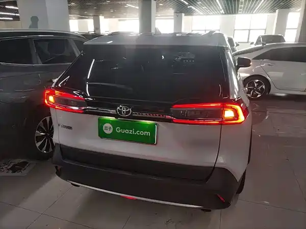 Toyota Wildlander 2021