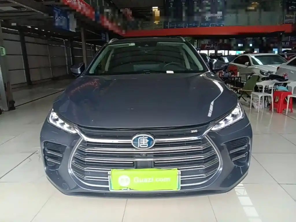 BYD Tang New Energy 2019 — фото 3