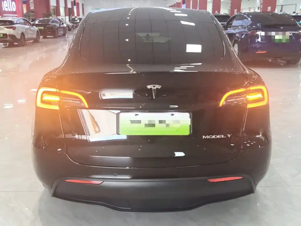 Tesla Model Y 2023 — фото 6