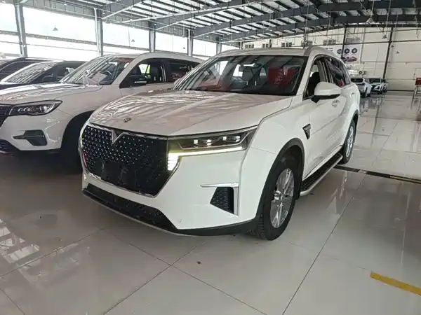 Venucia Star 2020