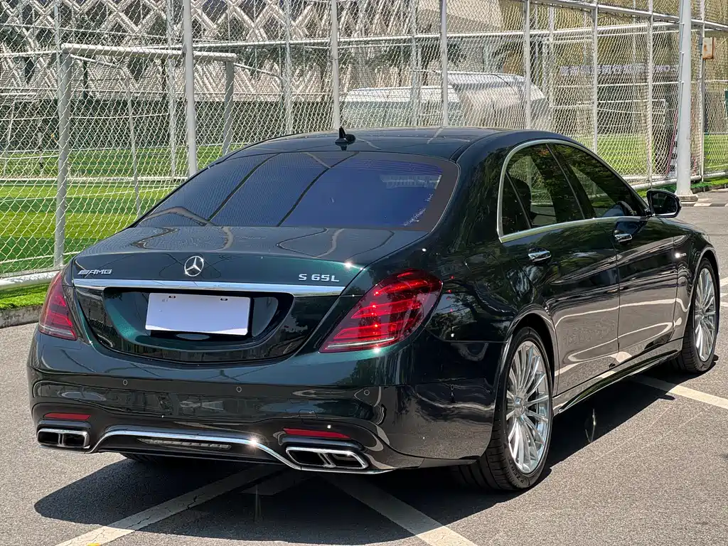 Mercedes-Benz S-Class AMG 2019 — фото 6