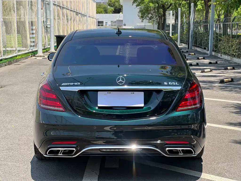 Mercedes-Benz S-Class AMG 2019 — фото 5