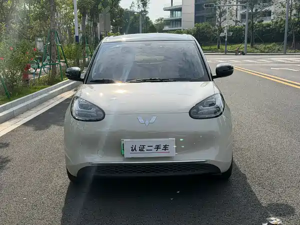 Wuling Bingo 2025