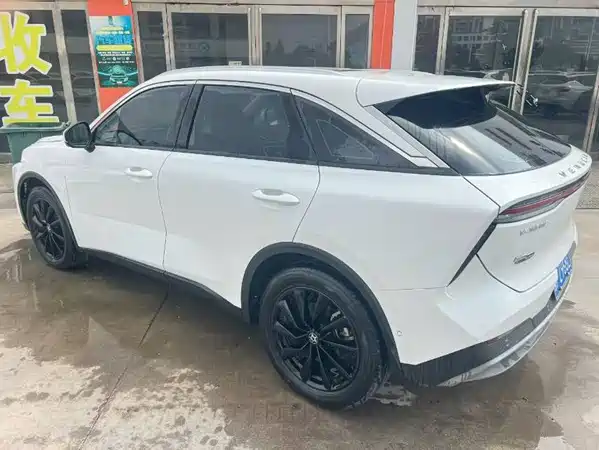 Venucia Big V 2022