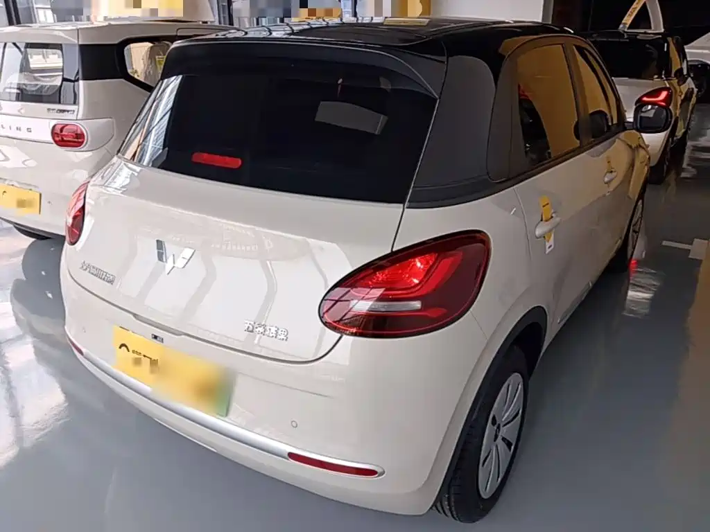 Wuling Bingo 2024