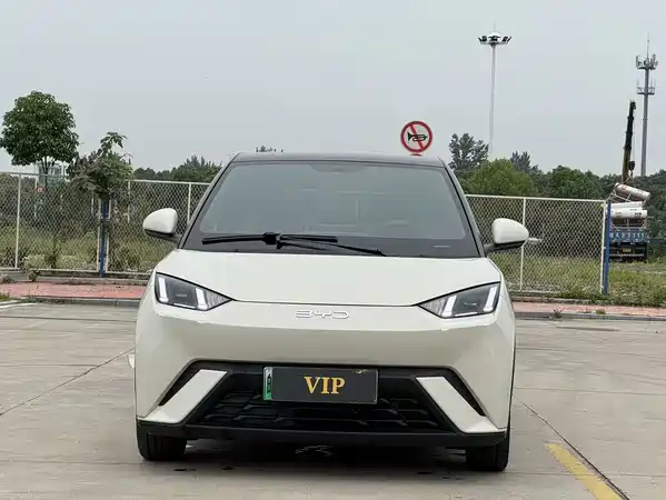 BYD Seagull 2024