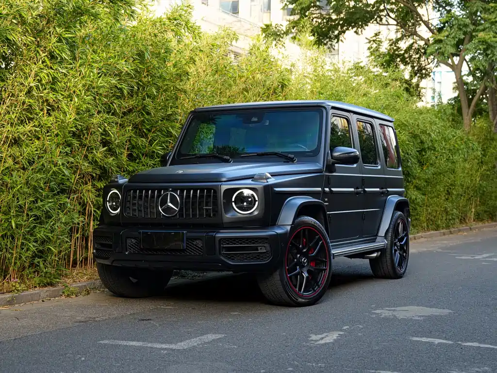 Mercedes-Benz G-Class AMG 2019 — фото 1