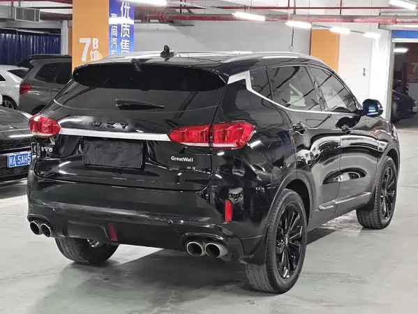 Wey VV6 2019