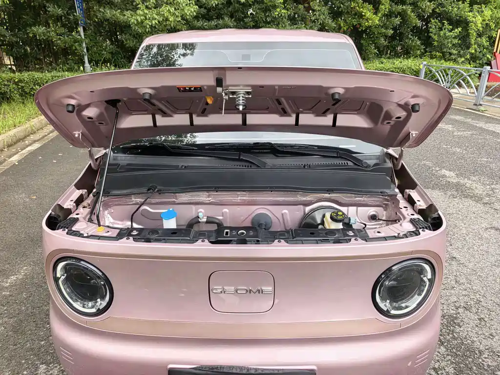 Geely Galaxy Panda 2025 — фото 13