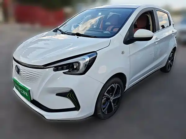 Changan Benben E-Star 2020