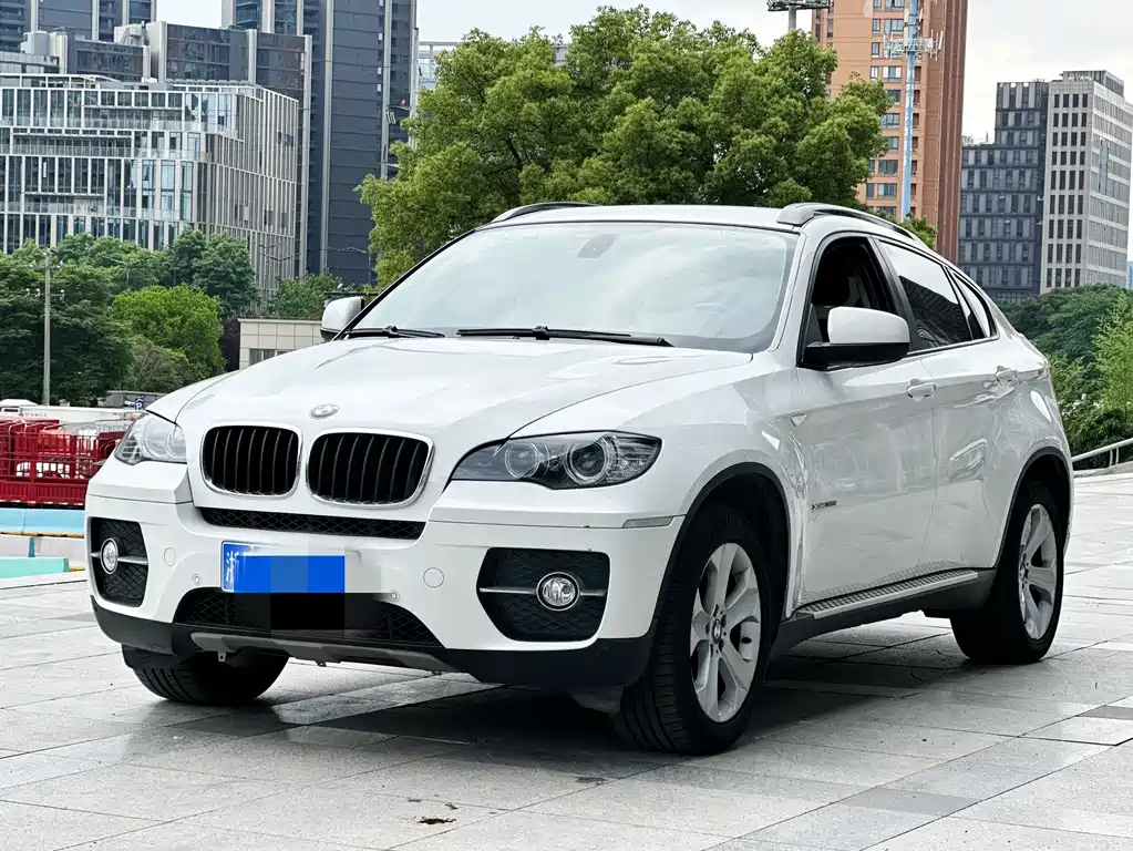 BMW X6 2009