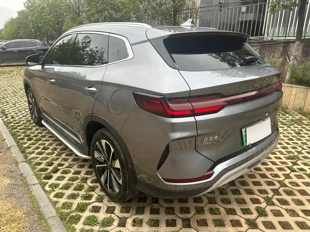 BYD PLUS New Energy 2024 — фото 7