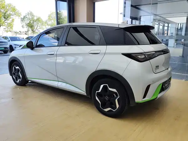 BYD Dolphin 2021