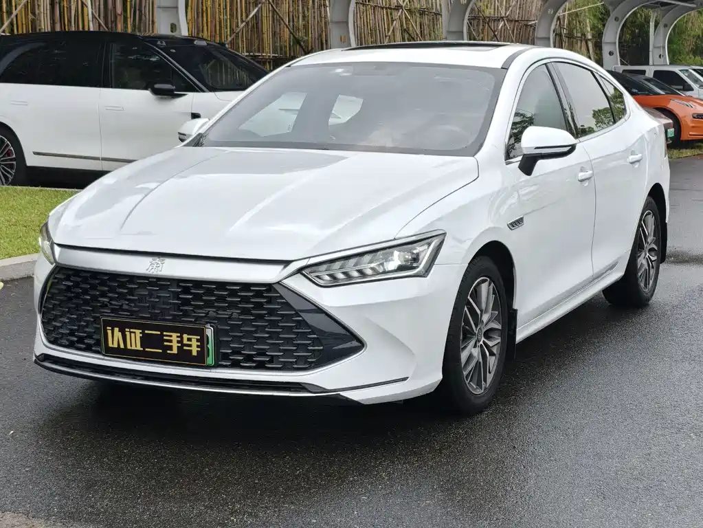BYD Qin PLUS 2022 — фото 1