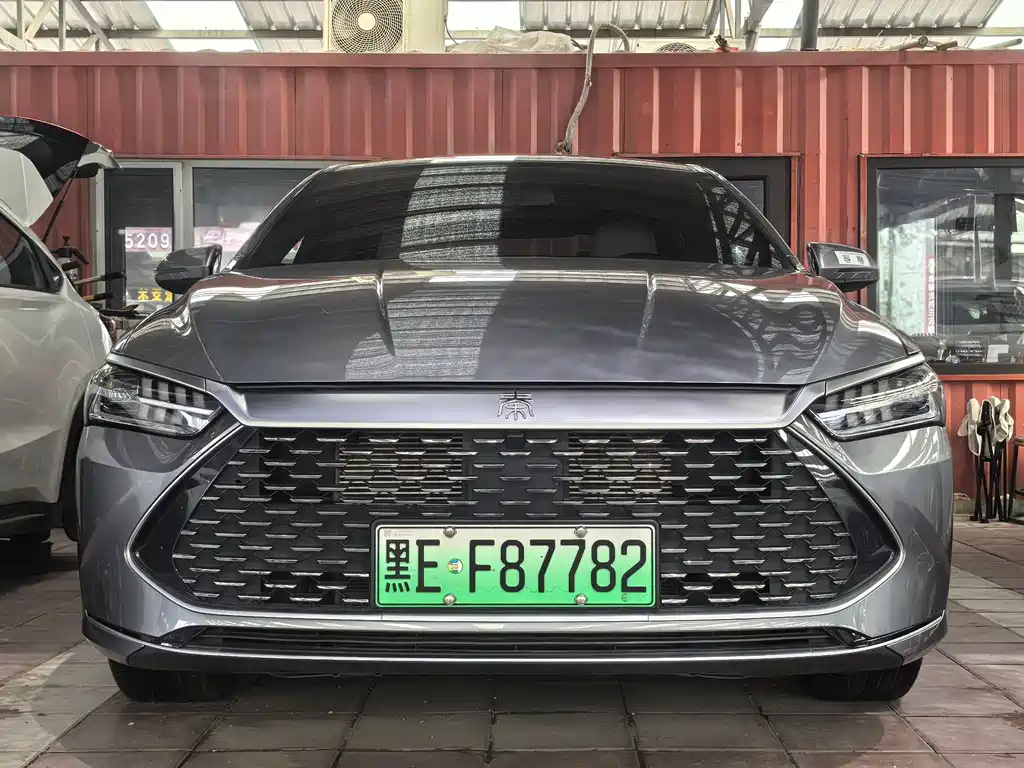 BYD Qin PLUS 2024 — фото 1