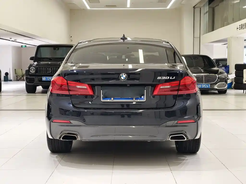 BMW 5 Series 2019