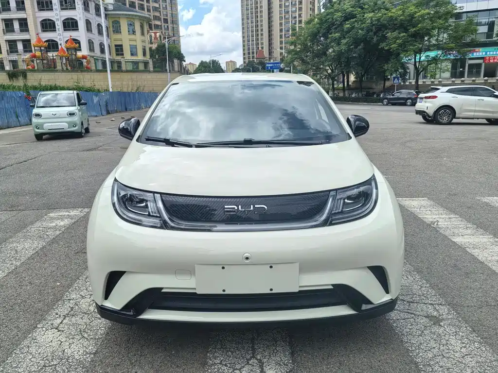 BYD Dolphin 2024
