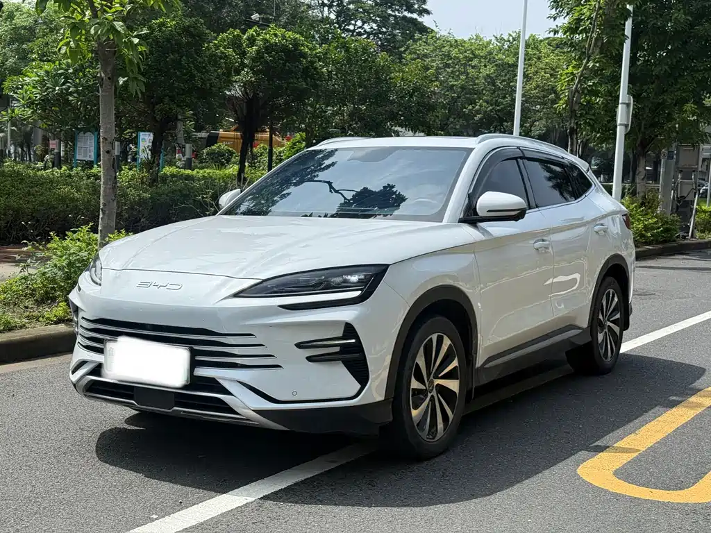BYD PLUS New Energy 2024 — фото 1