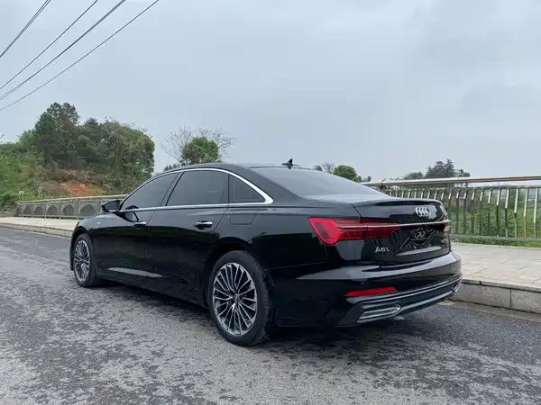 Audi A6L New Energy 2020
