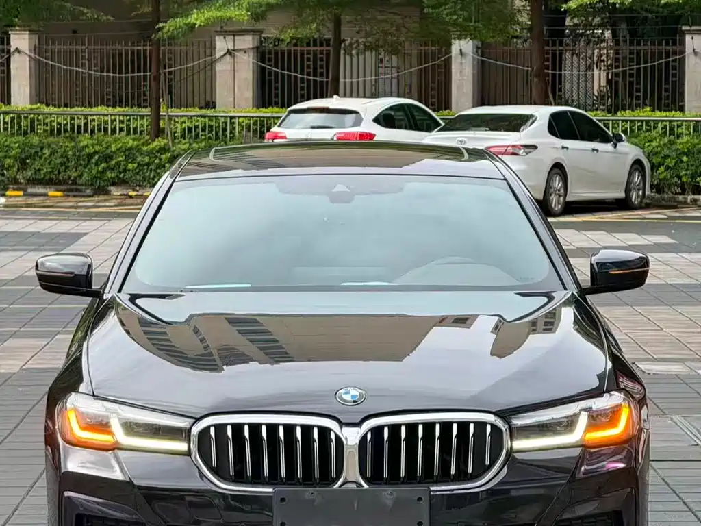 BMW 5 Series 2021