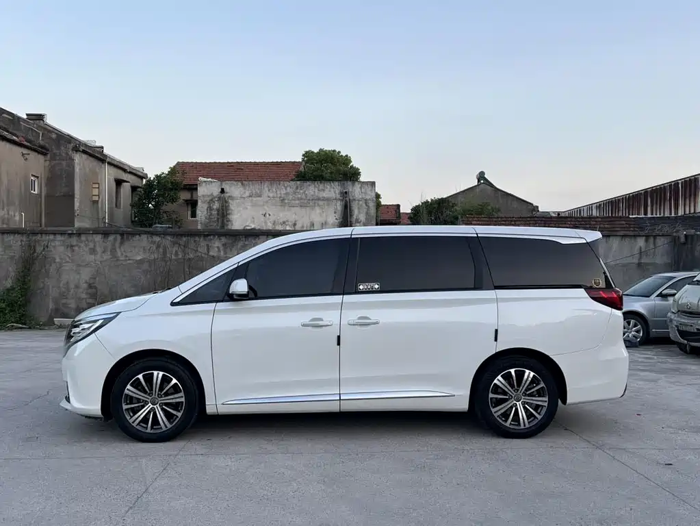 GAC Trumpchi M8 2018 — фото 14