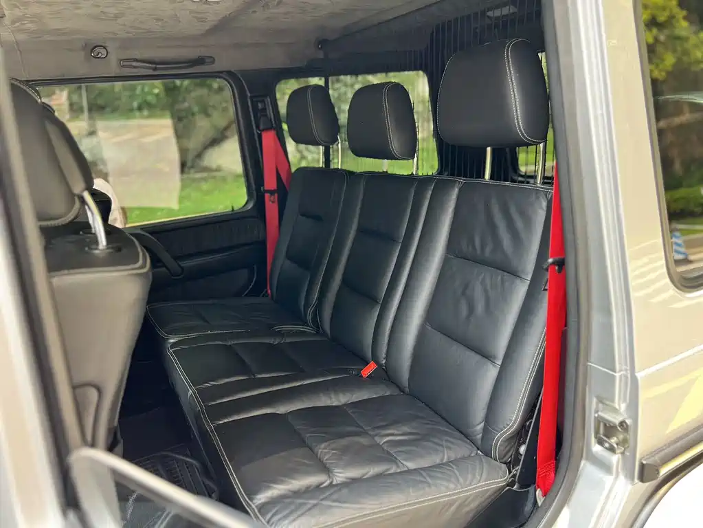Mercedes-Benz G-Class AMG 2010 — фото 10