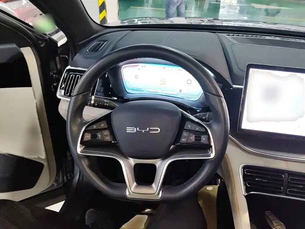 BYD PLUS New Energy 2024 — фото 11