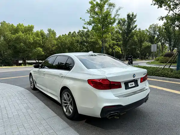 BMW 5 Series 2019