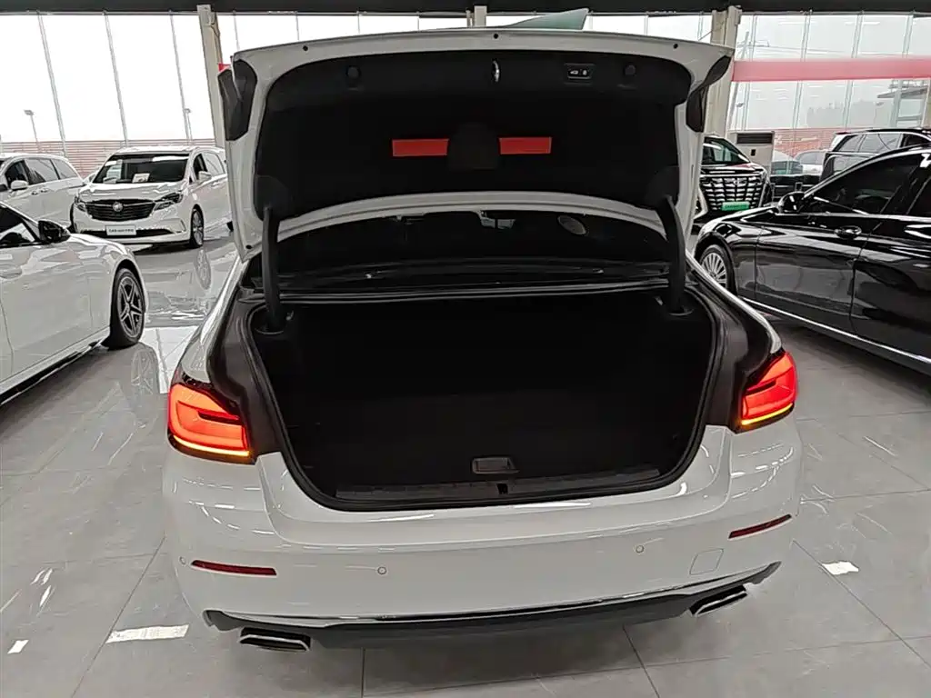 BMW 5 Series New Energy 2021 — фото 19