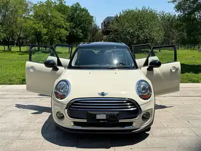 MINI MINI 2015