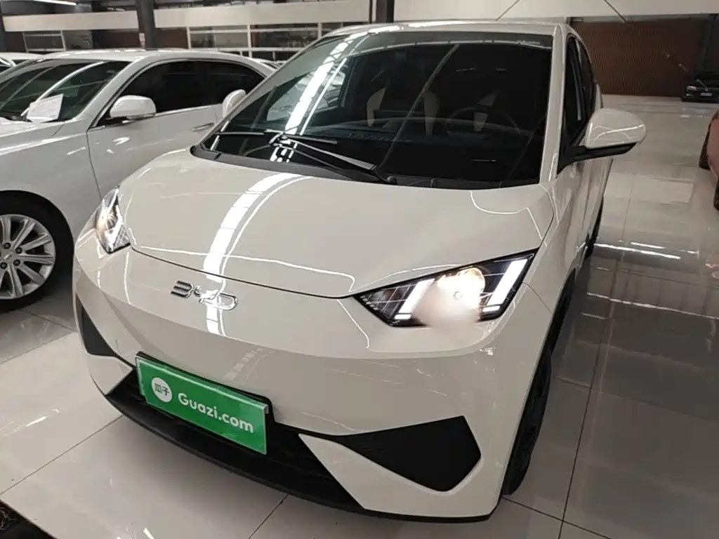 BYD Seagull 2026