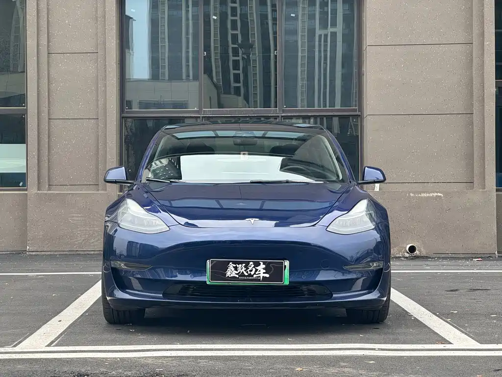 Tesla Model 3 2022 — фото 2
