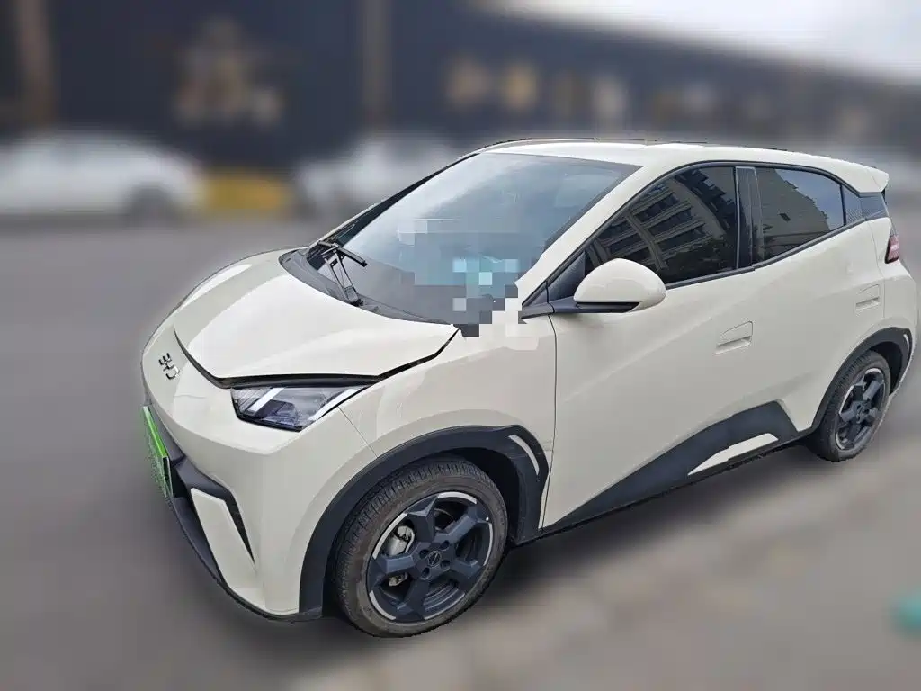 BYD Seagull 2024