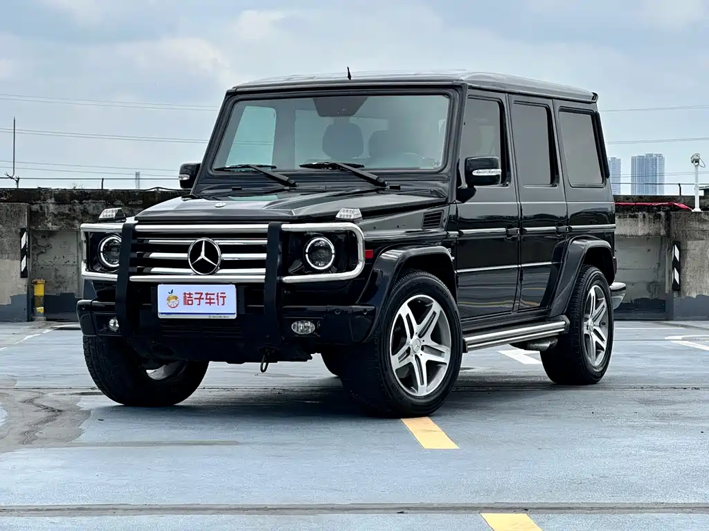 Mercedes-Benz G-Class 2010 — фото 3