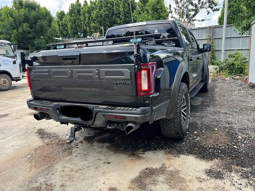 Ford F-150 Raptor 2019 — фото 5