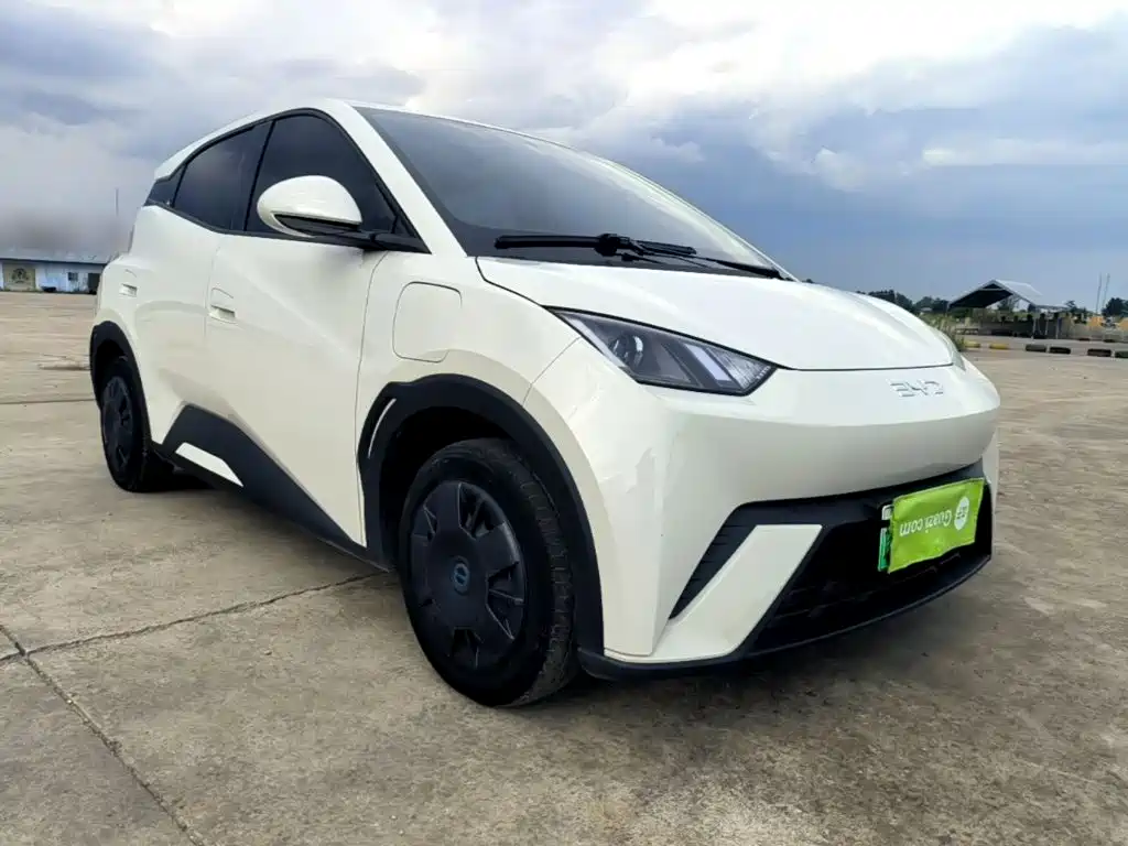 BYD Seagull 2024