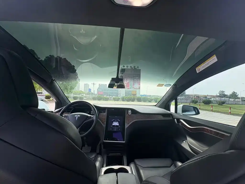 Tesla Model X 2019 — фото 6