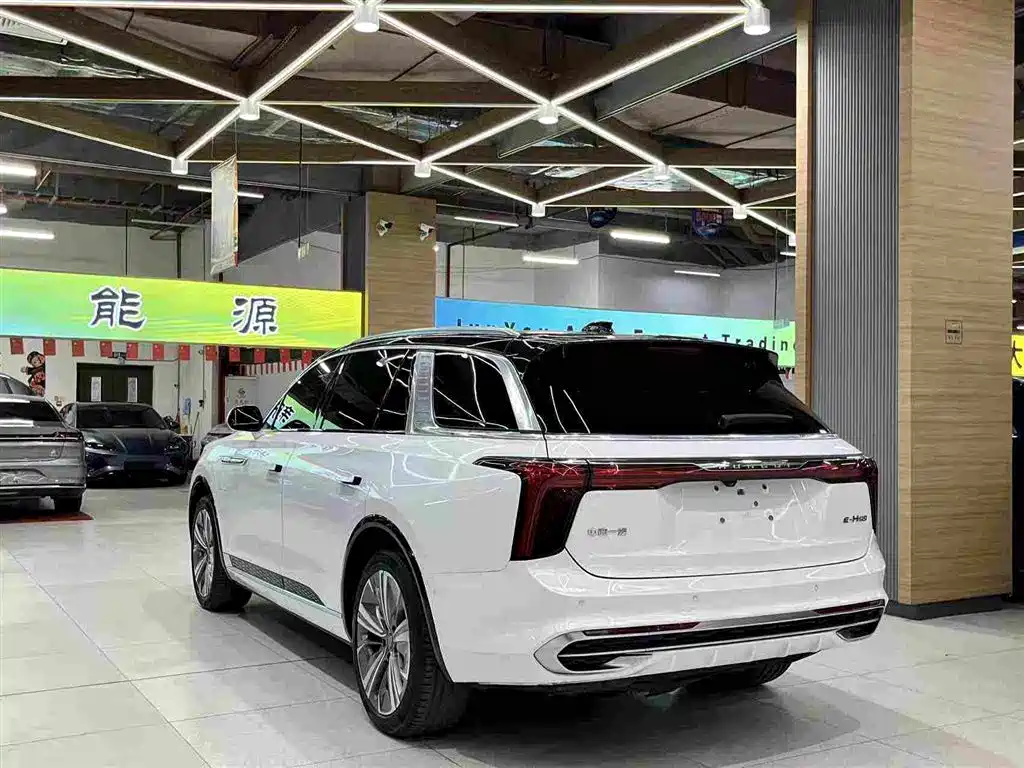 Hongqi E-HS9 2022 — фото 12